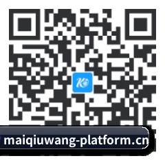 Android 安卓版 二维码
