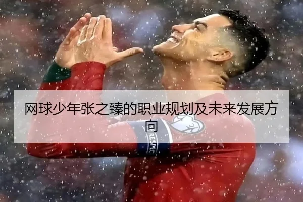 网球少年张之臻的职业规划及未来发展方向